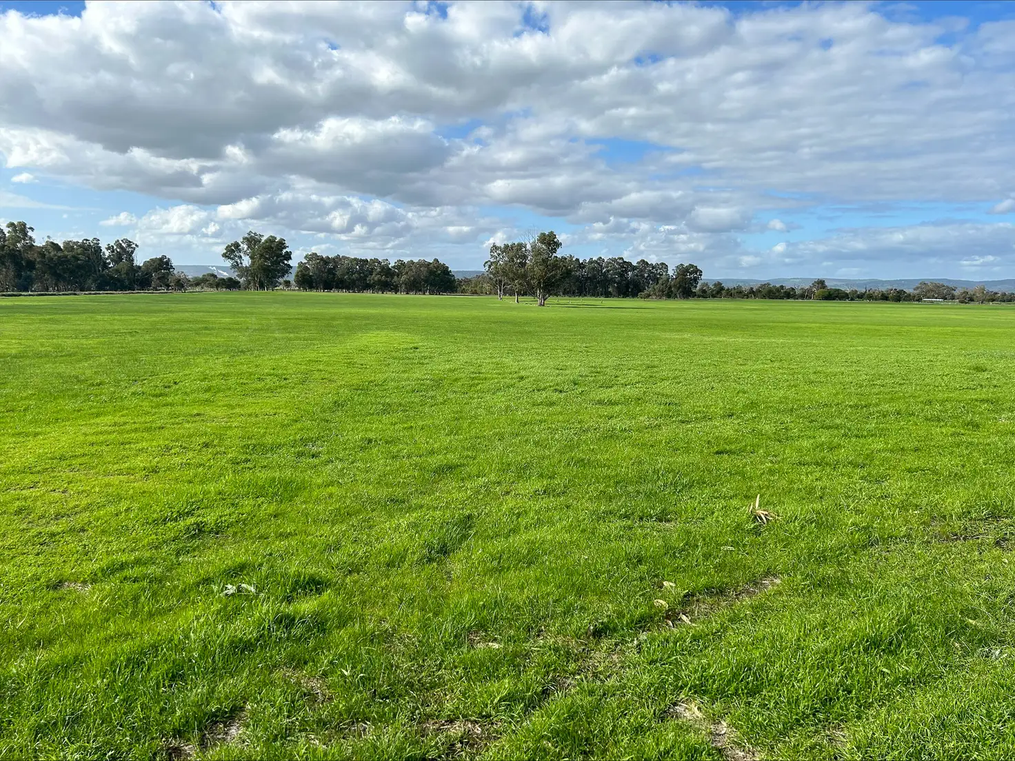 Main view of Homely rural property listing, Lot 4704 Johnston Rd, Yarloop WA 6218