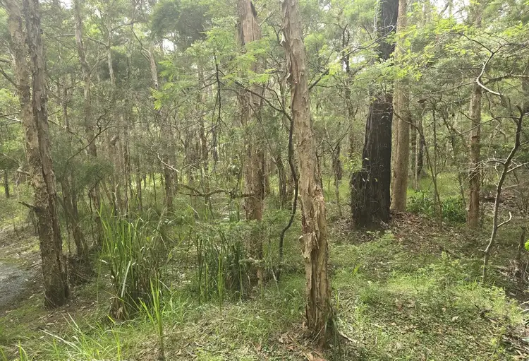 Fifth view of Homely land listing, 153 INGLEWOOD CRESCENT, Tomerong NSW 2540