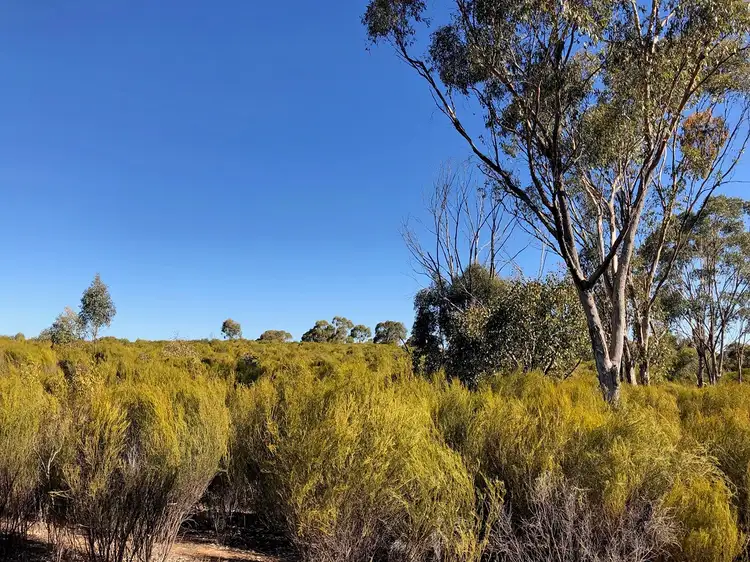 Sixth view of Homely rural property listing, 8 Boort-Wedderburn Road, Wedderburn VIC 3518