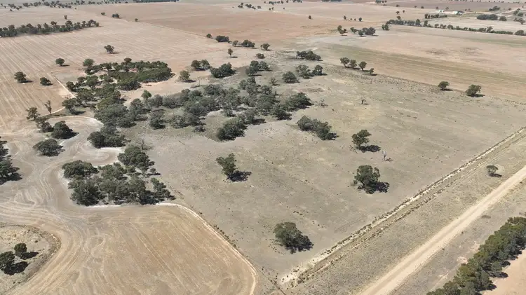 Third view of Homely rural property listing, Lot 1, Womboota Rd, Womboota via Moama, NSW 2731, Womboota NSW 2731