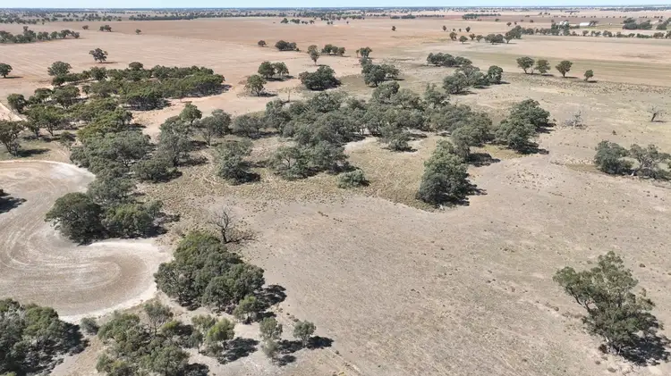 Fifth view of Homely rural property listing, Lot 1, Womboota Rd, Womboota via Moama, NSW 2731, Womboota NSW 2731