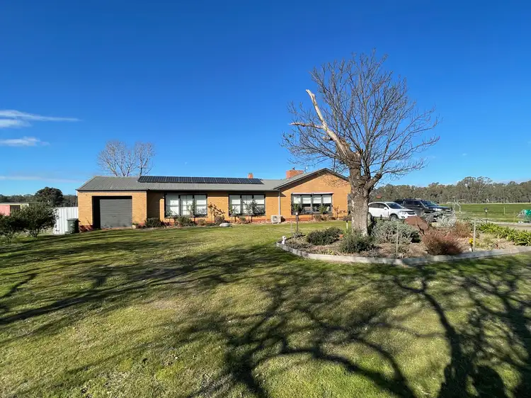 67 Snow Road