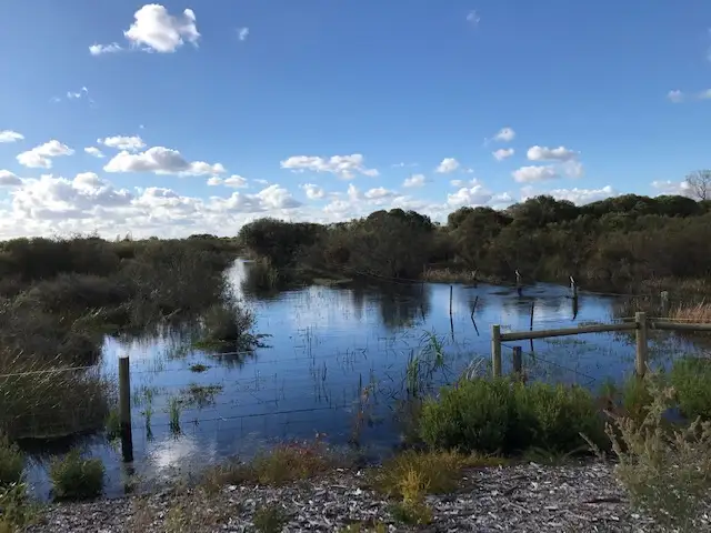 Fourth view of Homely land listing, 19 Algerian Way, Southern River WA 6110