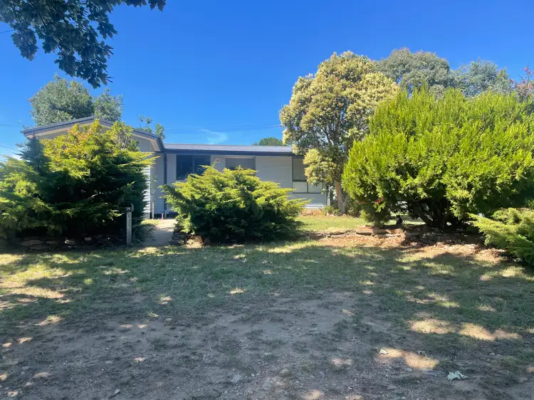 19 Walla Street, Cooma NSW 2630