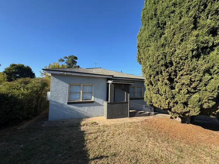 41 Boyd Street
