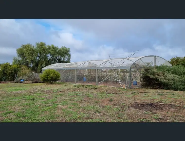Sixth view of Homely house listing, 14 LEONORA STREET, Wagin WA 6315