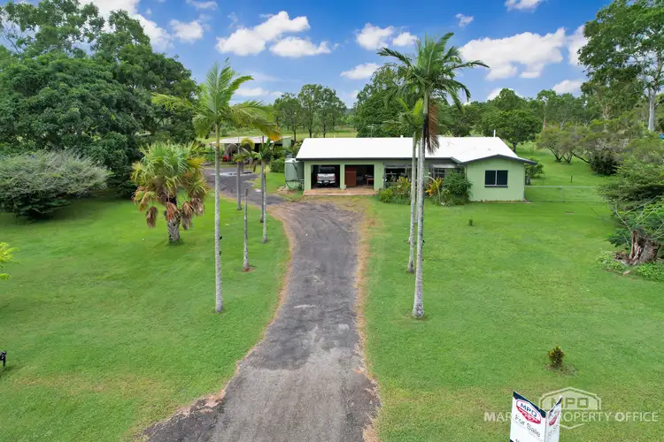 Main view of Homely rural property listing, 390 Ray Road, Mareeba QLD 4880