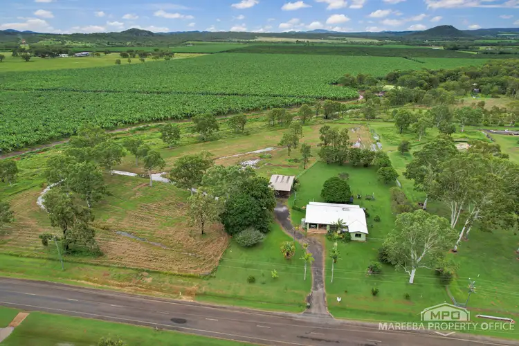 Fourth view of Homely rural property listing, 390 Ray Road, Mareeba QLD 4880
