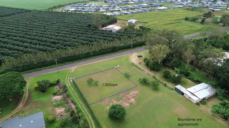 113 Tate Road, Tolga QLD 4882
