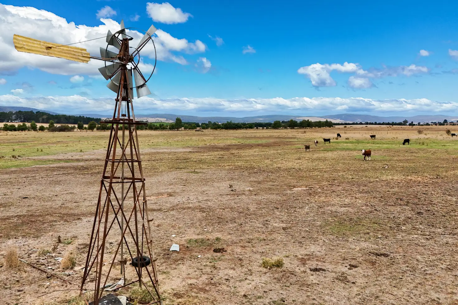 Main view of Homely rural property listing, 11480 Midland Highway, Campbell Town TAS 7210