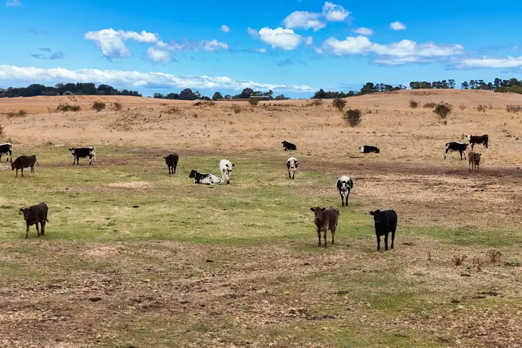 Third view of Homely rural property listing, 11480 Midland Highway, Campbell Town TAS 7210