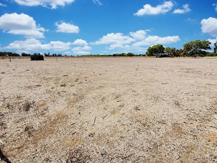 Third view of Homely land listing, 41 Hanwood Street, Yanco NSW 2703