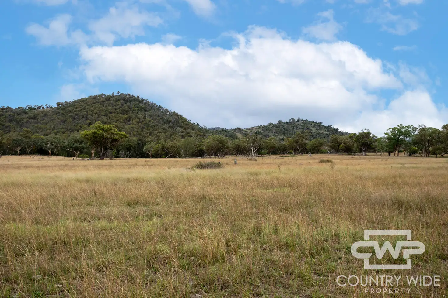 Main view of Homely rural property listing, LOT 137, 4108 Tent Hill Road, Emmaville NSW 2371