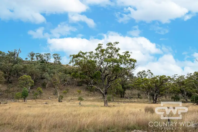 Second view of Homely rural property listing, LOT 137, 4108 Tent Hill Road, Emmaville NSW 2371