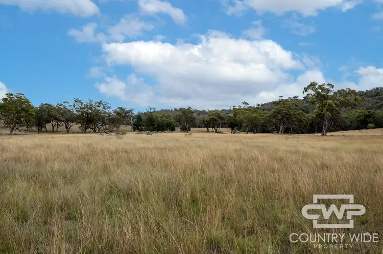 Third view of Homely rural property listing, LOT 137, 4108 Tent Hill Road, Emmaville NSW 2371