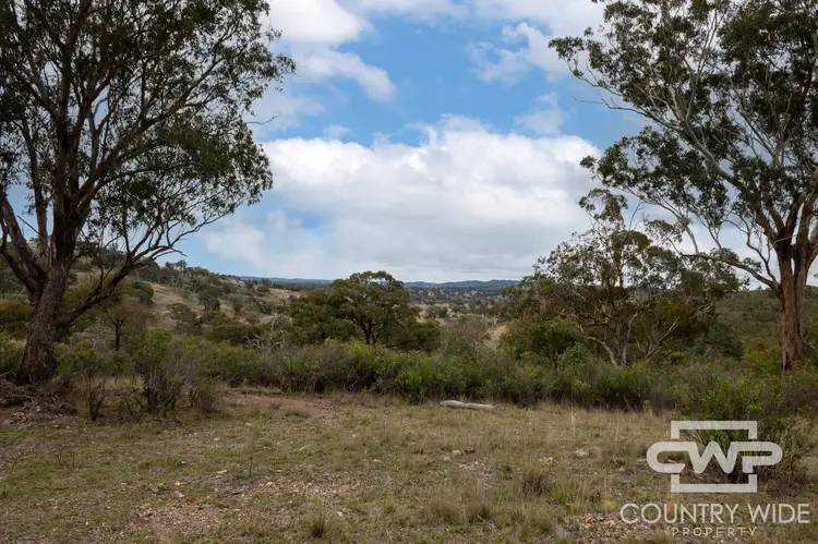 Sixth view of Homely rural property listing, LOT 137, 4108 Tent Hill Road, Emmaville NSW 2371