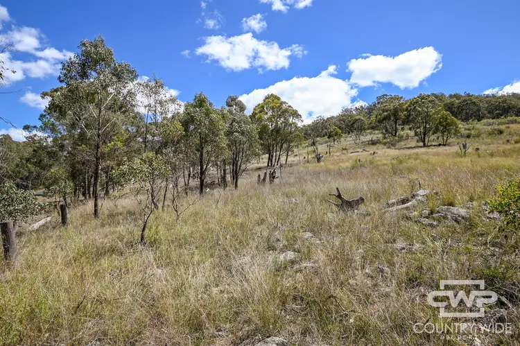 Third view of Homely rural property listing, LOT 1, 61, 4108 Tent Hill Road, Emmaville NSW 2371