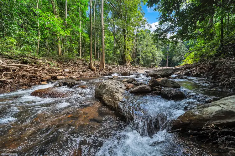 Third view of Homely house listing, 9 Douglas Track Road, Kamerunga QLD 4870