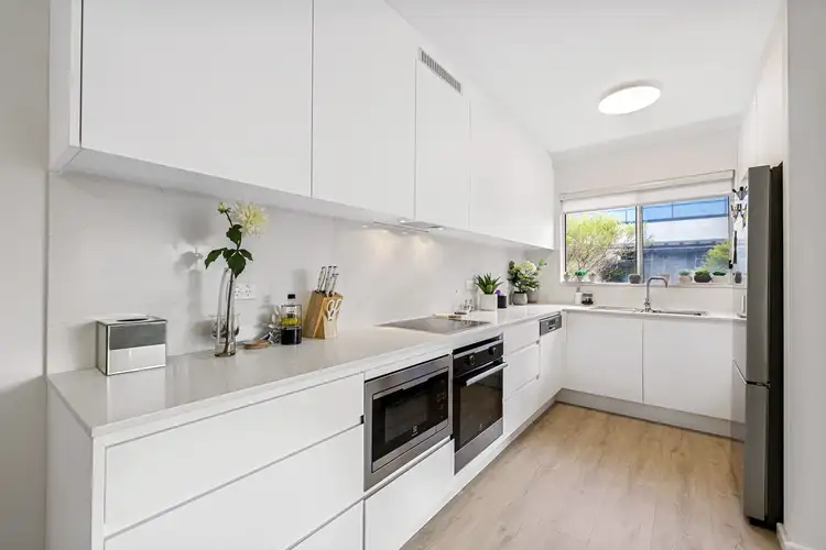 Third view of Homely apartment listing, 7/15 Macpherson Street, Waverley NSW 2024