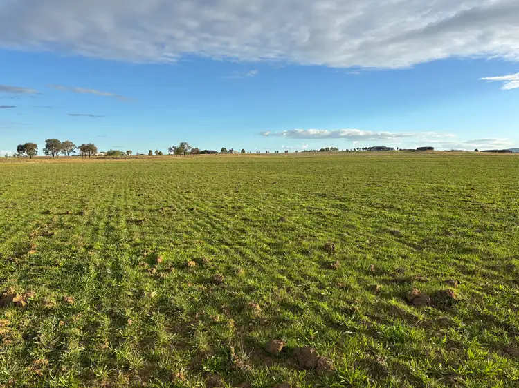 156 Warral-Bithramere Road, Tamworth NSW 2340