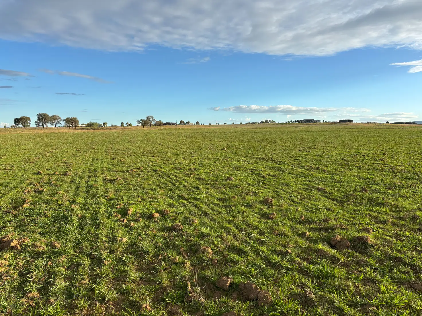 Main view of Homely rural property listing, 156 Warral-Bithramere Road, Tamworth NSW 2340