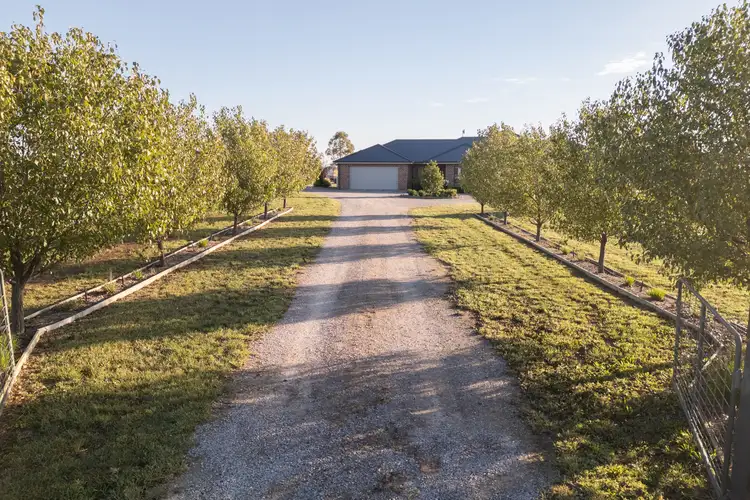 Third view of Homely rural property listing, 156 Warral-Bithramere Road, Tamworth NSW 2340