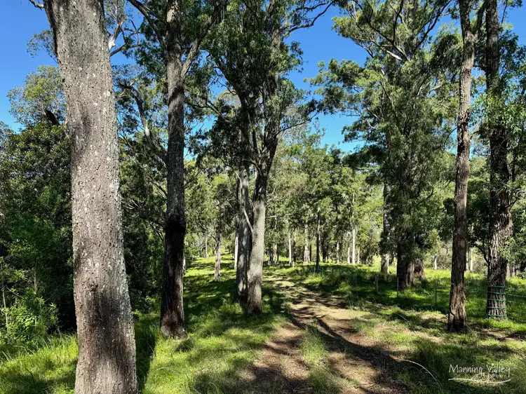 Third view of Homely rural property listing, 212 Bulby Brush Road, Bunyah NSW 2429