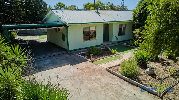 Main view of Homely house listing, 3 Emu Springs Road, Tintinara SA 5266