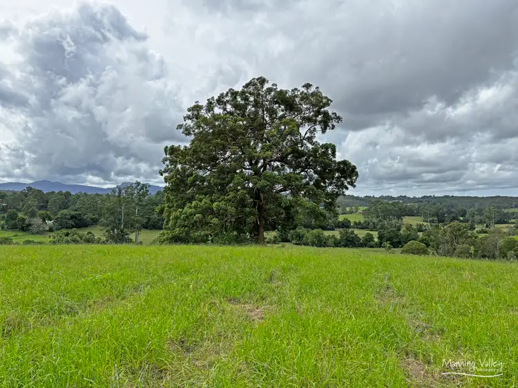 Fourth view of Homely rural property listing, 1589 Comboyne Road, Killabakh NSW 2429