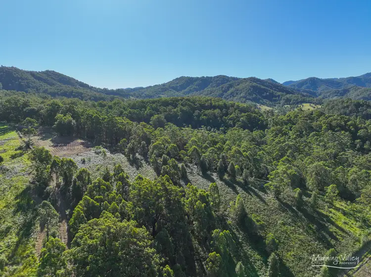 Fifth view of Homely rural property listing, 1589 Comboyne Road, Killabakh NSW 2429