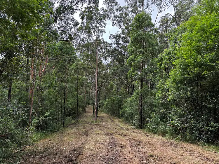 Seventh view of Homely rural property listing, 1589 Comboyne Road, Killabakh NSW 2429