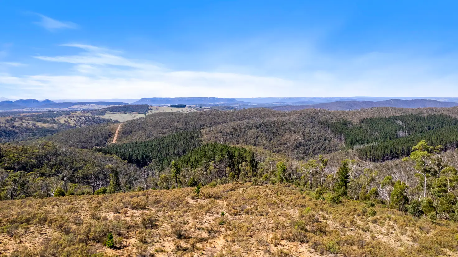 Main view of Homely land listing, 267 New Olivers Road, Running Stream NSW 2850