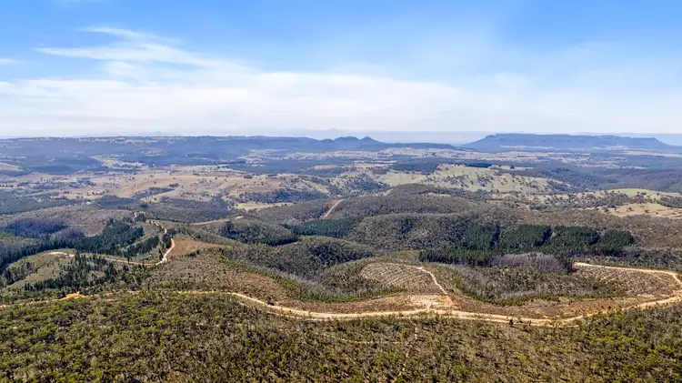 Third view of Homely land listing, 267 New Olivers Road, Running Stream NSW 2850