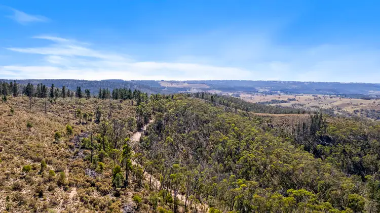 Fourth view of Homely land listing, 267 New Olivers Road, Running Stream NSW 2850