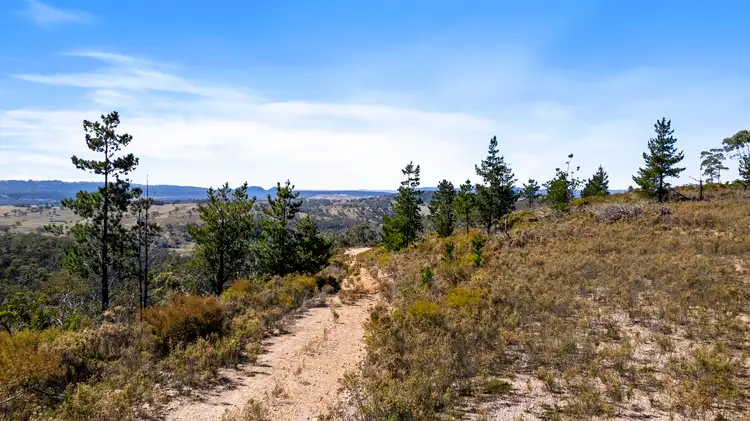 Fifth view of Homely land listing, 267 New Olivers Road, Running Stream NSW 2850