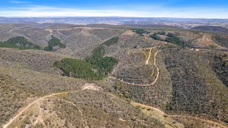 Sixth view of Homely land listing, 267 New Olivers Road, Running Stream NSW 2850