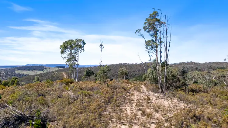 Seventh view of Homely land listing, 267 New Olivers Road, Running Stream NSW 2850