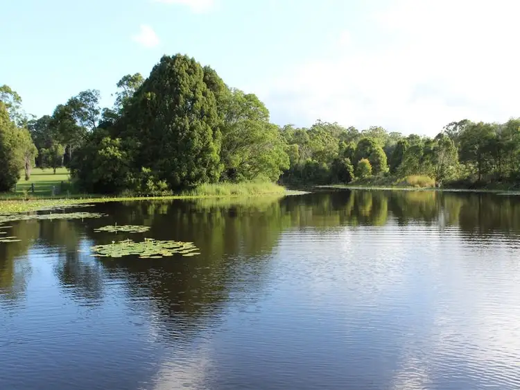 1505 Bucca Road, Bucca NSW 2450