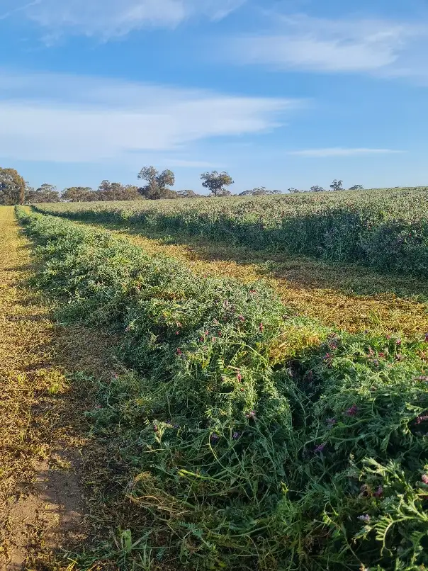 Second view of Homely rural property listing, Lot 2 Horsham-Noradjuha Road, Lower Norton VIC 3401