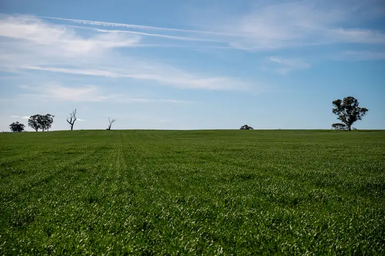 Third view of Homely rural property listing, Lot 2 Horsham-Noradjuha Road, Lower Norton VIC 3401