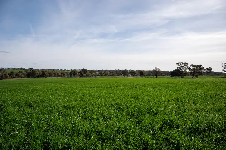 Fifth view of Homely rural property listing, Lot 2 Horsham-Noradjuha Road, Lower Norton VIC 3401
