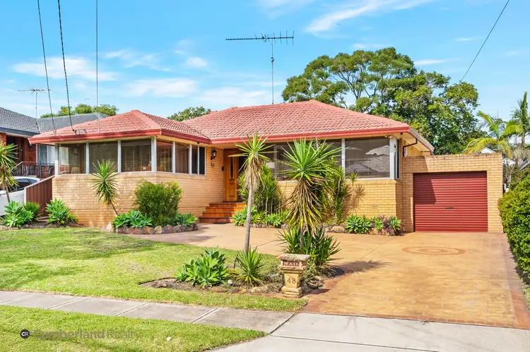 48 HIBISCUS STREET, Greystanes NSW 2145