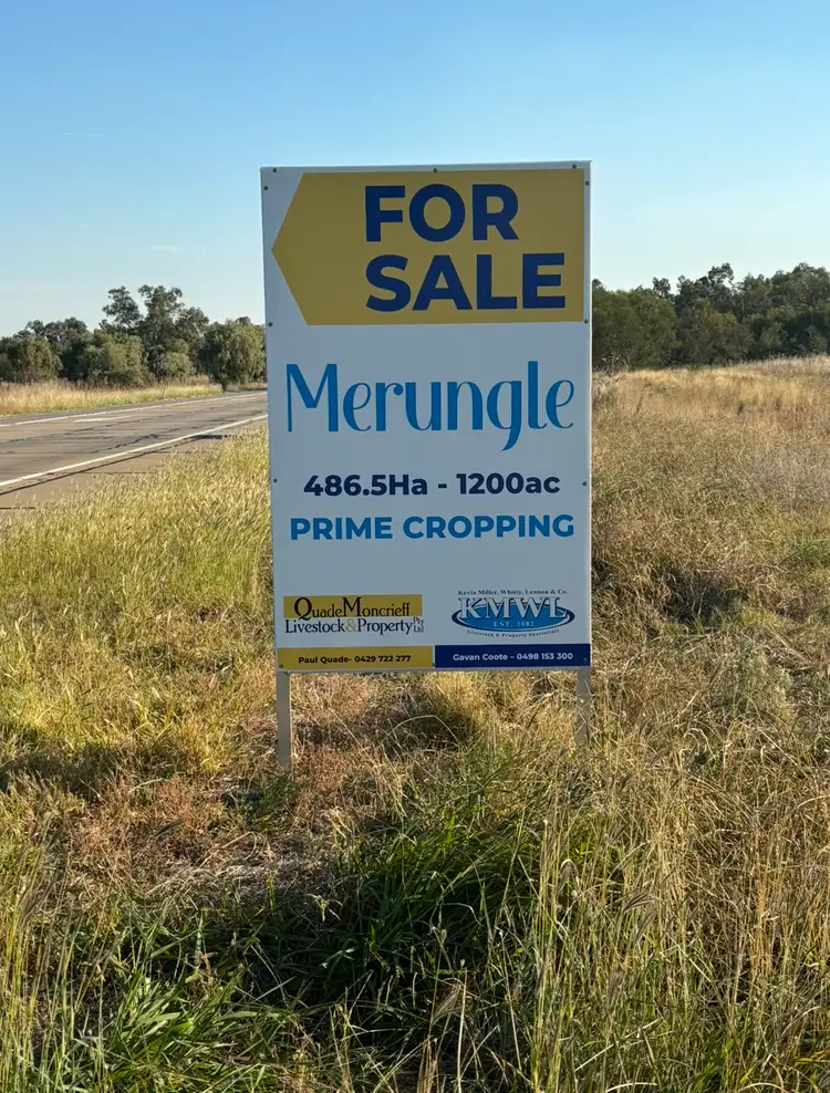 Main view of Homely rural property listing, 'Merungle' 6689 Mid Western Hwy, Marsden, West Wyalong NSW 2671