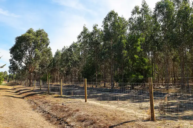 Second view of Homely rural property listing, 44 Fincks Road, Heathmere VIC 3305