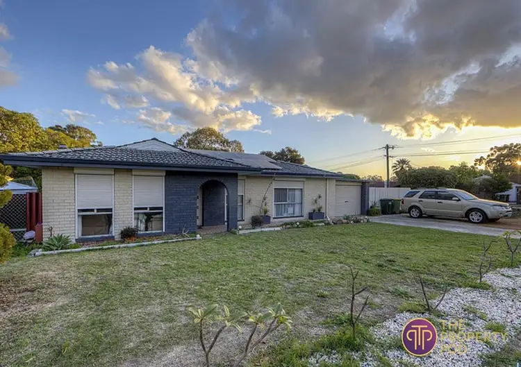 62 Strelitzia Avenue, Forrestfield WA 6058