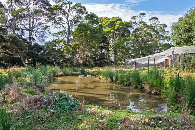 Second view of Homely house listing, 211 Back Line Road, Forest TAS 7330