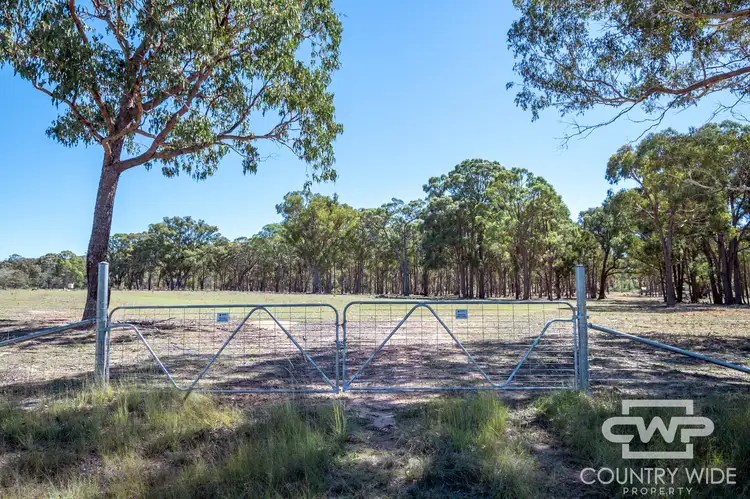 Second view of Homely rural property listing, 235 Marshall Way, Emmaville NSW 2371