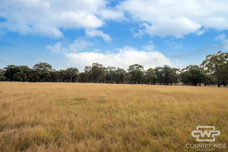 Fourth view of Homely rural property listing, 235 Marshall Way, Emmaville NSW 2371