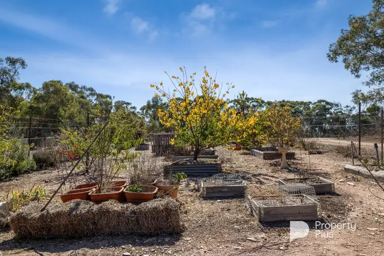 Sixth view of Homely land listing, 66 Daylesford-Newstead Road, Strangways VIC 3461