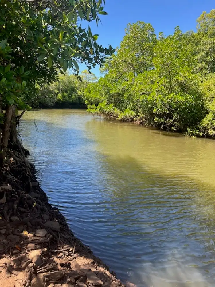 Third view of Homely rural property listing, 396 Flying Fish Point Road, Eaton QLD 4860